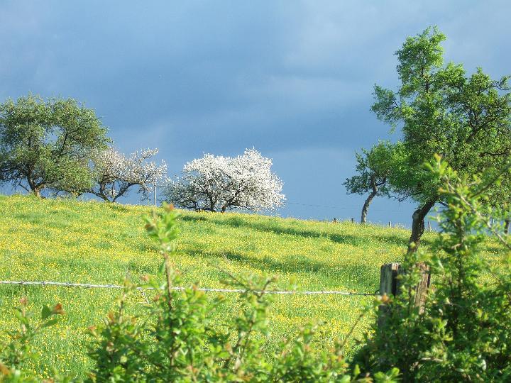 2008-05- (114).JPG - Bei einem abendlichen Spaziergang 